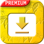 Snap Tik: TT Video Downloader