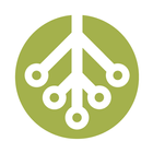 Root icon