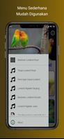 Masteran Lovebird Paud Konslet الملصق