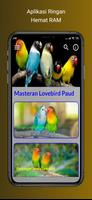 Masteran Lovebird Paud Konslet تصوير الشاشة 1