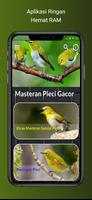 Masteran Pleci Gacor Ngerol تصوير الشاشة 1
