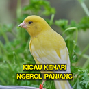 Kicau Kenari Ngerol Panjang APK