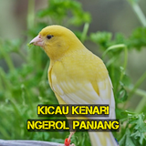 Kicau Kenari Ngerol Panjang أيقونة