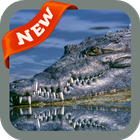 Alligator Wallpaper آئیکن