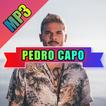 Pedro Capó musica 2022