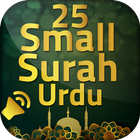 Small Surah Urdu Audio With urdu tarjuma icône