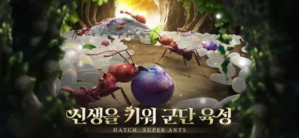 디 앤츠 captura de pantalla 5