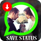 Save Status to Gallery آئیکن
