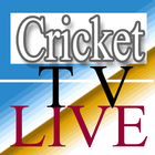 cricket match live today ícone