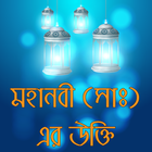 মহানবী (সঃ)  এর সেরা উক্তি - Mohammad (S:) Quotes icono