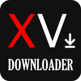 All Video Downloader icône