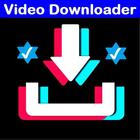 Video Downloader icône