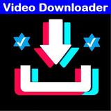Video Downloader icono
