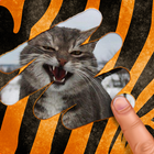 Scratch and guess the animal simgesi