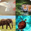 Guess Animals - Learn English APK