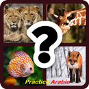 Practice English - Animals APK