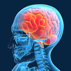 Brain Age Test - Mind Training biểu tượng