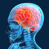 Brain Age Test - Mind Training आइकन