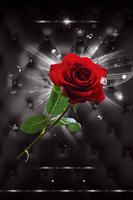 imagens grátis de rosas e flores lindas rosas Cartaz