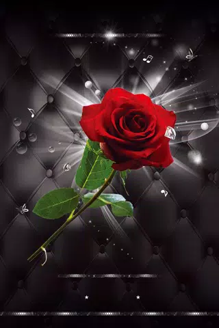 Download do APK de imagens grátis de rosas e flores lindas rosas para  Android