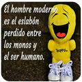 frases sarcásticas