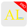 AlmadeenaVPNPro