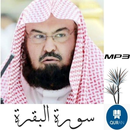 سورة البقرة السديس بدون انترنت APK