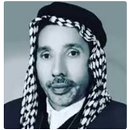 الرادود حمزة الصغير APK