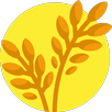 MindRice APK
