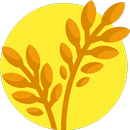 MindRice APK