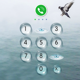 AppLock - Seagulls icon