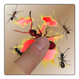 Smash Ants 아이콘