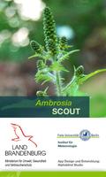 Ambrosia SCOUT Plakat