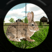 Rabbit Hunting Challenge