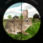 Rabbit Hunting Challenge icon