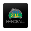 Storhamar Håndball