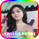 Lagu Dangdut Arlida Putri MP3 APK