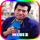 Lagu Megi Z MP3 Offline APK