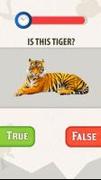 Animal QuizLand Trivia Game: Mammals Crack Quiz Ekran Görüntüsü 3