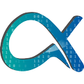 ACCAD Emulator