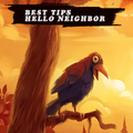Guide & Walkthrough for Neighbor Game