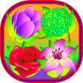 Flower Splash