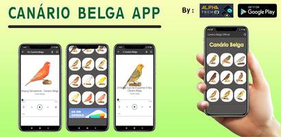 Canário Belga : Cantar Muito bài đăng