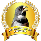 COLEIRO TUI TUI (PROFESSOR) icône