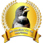 COLEIRO TUI TUI (PROFESSOR) Zeichen