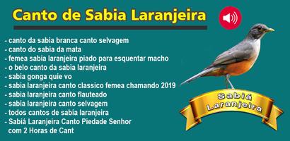 Sabiá Laranjeira Selvagem Affiche