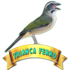 Trinca Ferro Cantando Clássico icon