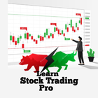 Learn Stock Trading (Pro)-icoon