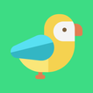Bird Play