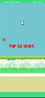 Bird Play poster